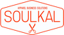 Soulkal Solution