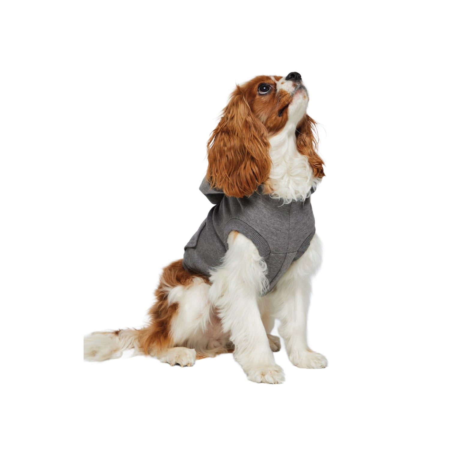 SCREEN PRINTED DOG HOODIE